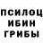 Псилоцибиновые грибы прущие грибы Guilherme Antonio