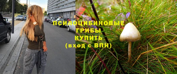 каннабис Алзамай