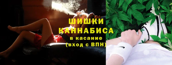 ПСИЛОЦИБИНОВЫЕ ГРИБЫ Алексин